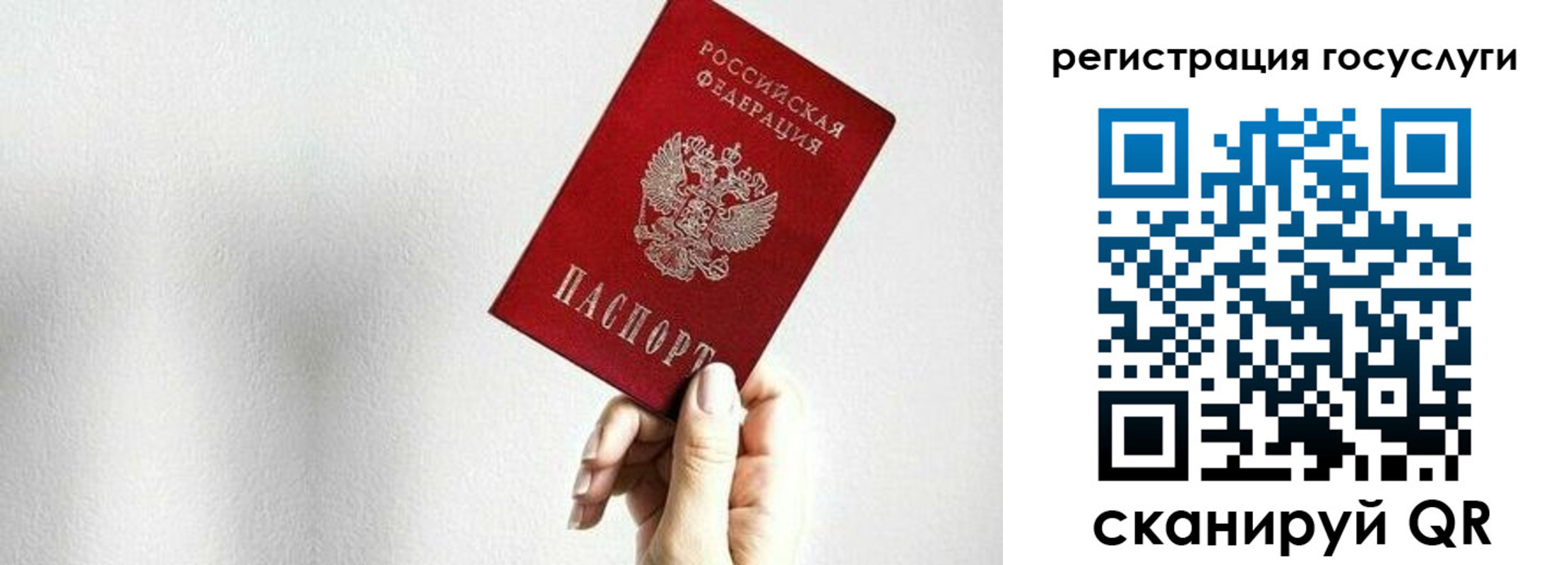 прописка гарантия в Калужской области